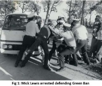Mick Lewis arrest