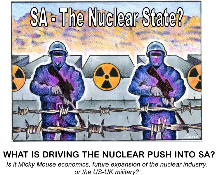 Sa Nuclear State