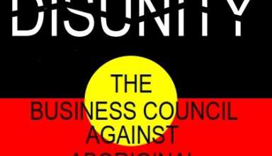 Driving Disunity button