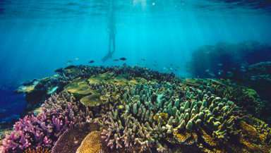 Great Barrier Reef