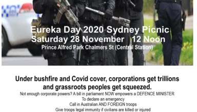 Eureka Sydney Picnic 2020