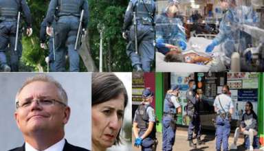 Covid graphic_NSW.jpg - 59.74 KB